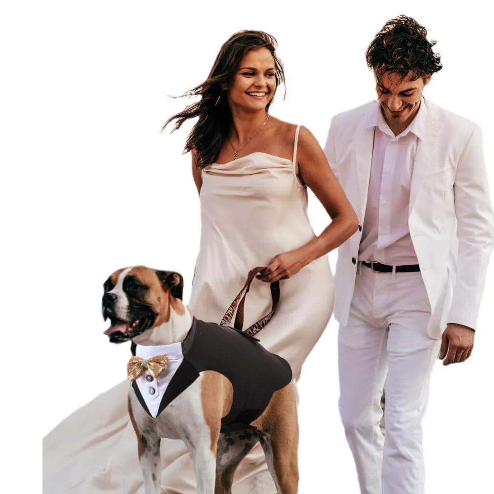 Tanpopo New Pet Cloth Resistant Dog Costume Wedding Attire Coat Decorative Tuxedo Wear Party Suit Jacket Collar and Bandana Set
