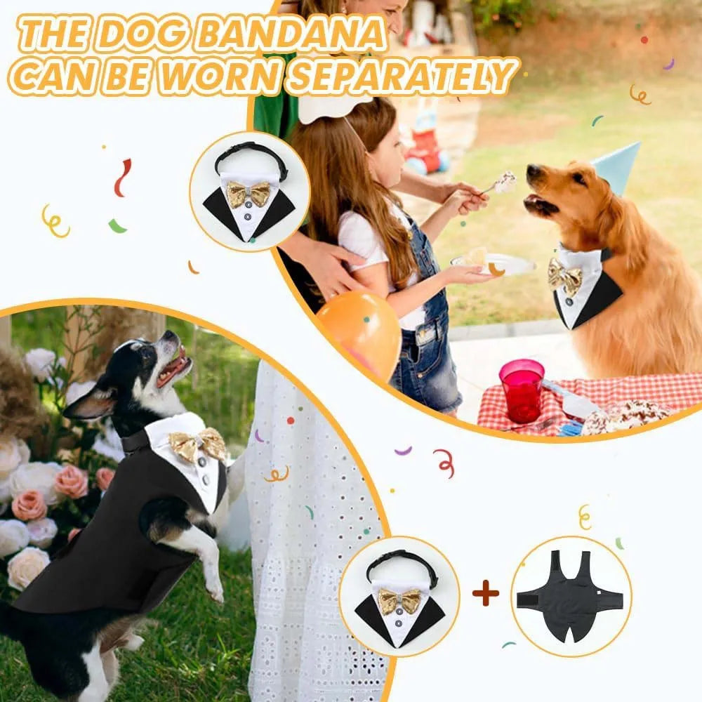 Tanpopo New Pet Cloth Resistant Dog Costume Wedding Attire Coat Decorative Tuxedo Wear Party Suit Jacket Collar and Bandana Set