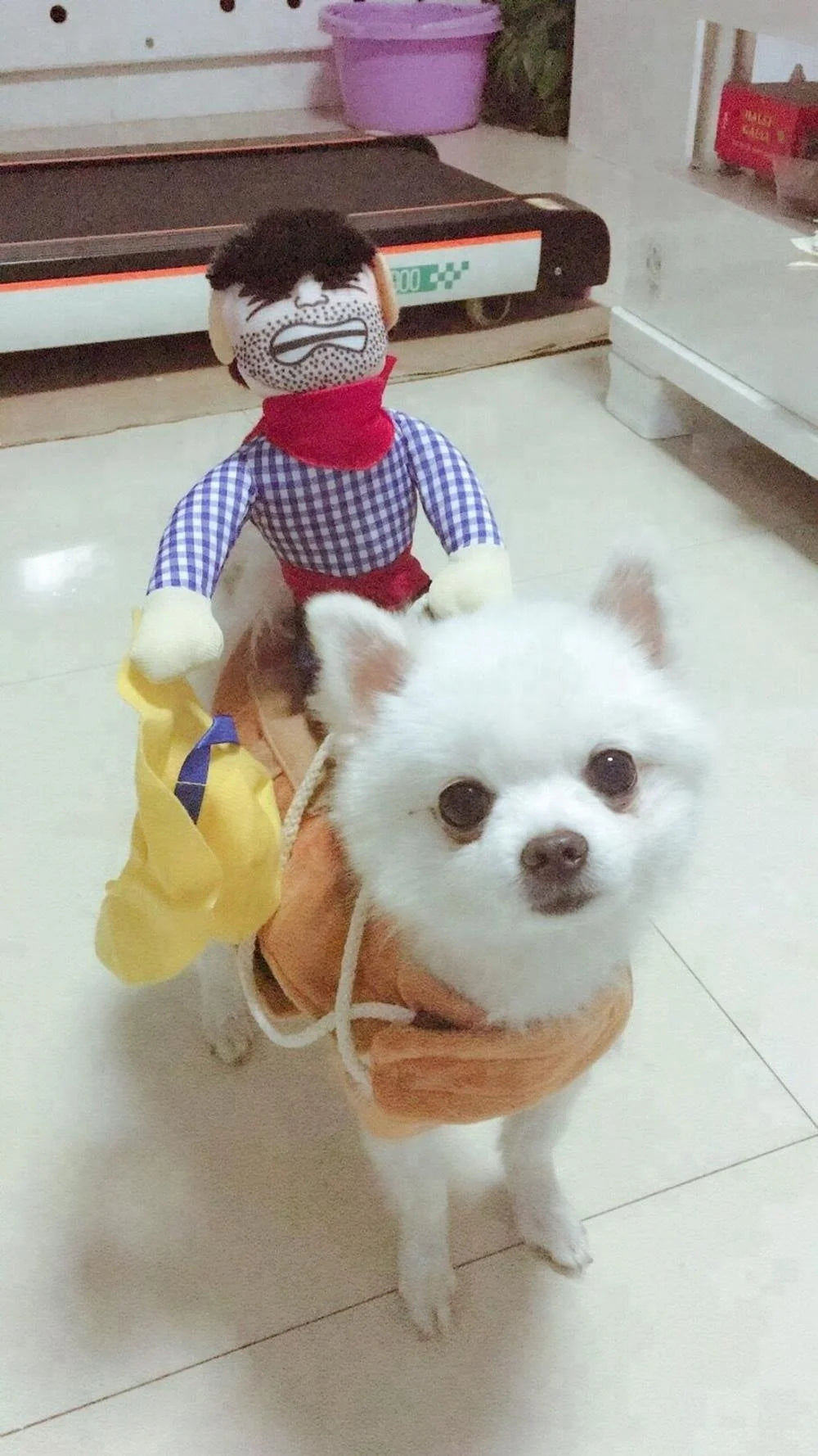 Hot Sale Funny Design Pet Costumes Cowboy Style Cool Dog Costume Puppy Clothes Coat Crazy Dog Clothes