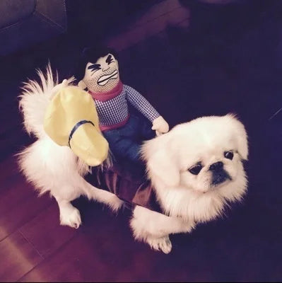 Hot Sale Funny Design Pet Costumes Cowboy Style Cool Dog Costume Puppy Clothes Coat Crazy Dog Clothes