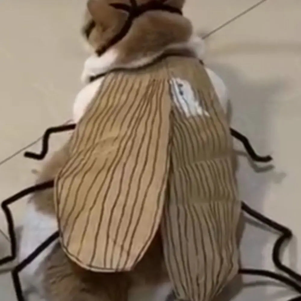 Funny DIY Cat Cockroach Clothing Indoor Playing Dress Up Material Pack Cat Toys Pet Supplies Cosplay Accessory