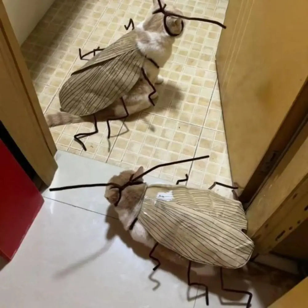 Funny DIY Cat Cockroach Clothing Indoor Playing Dress Up Material Pack Cat Toys Pet Supplies Cosplay Accessory