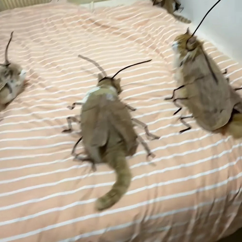 Funny DIY Cat Cockroach Clothing Indoor Playing Dress Up Material Pack Cat Toys Pet Supplies Cosplay Accessory
