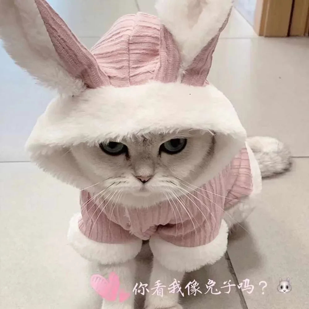Lovable Cat Clothes Pet Autumn and Winterb Small Dog Kitten Two Legged Clothes Cat Puppy Warm Clothes Pet Costume Hairless Cat