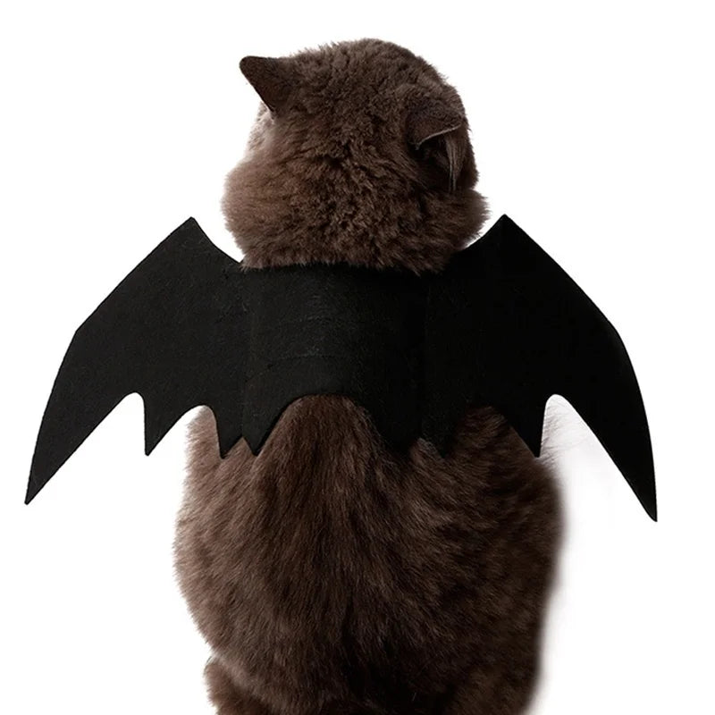 Halloween Cute Pet Clothes Black Bat Wings Harness Costume for Halloween Cosplay Cat Dog Halloween Party for Pet Supplies