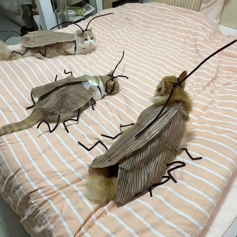 Funny DIY Cat Cockroach Clothing Indoor Playing Dress Up Material Pack Cat Toys Pet Supplies Cosplay Accessory