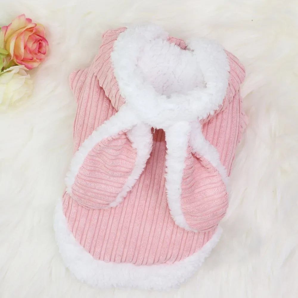 Lovable Cat Clothes Pet Autumn and Winterb Small Dog Kitten Two Legged Clothes Cat Puppy Warm Clothes Pet Costume Hairless Cat