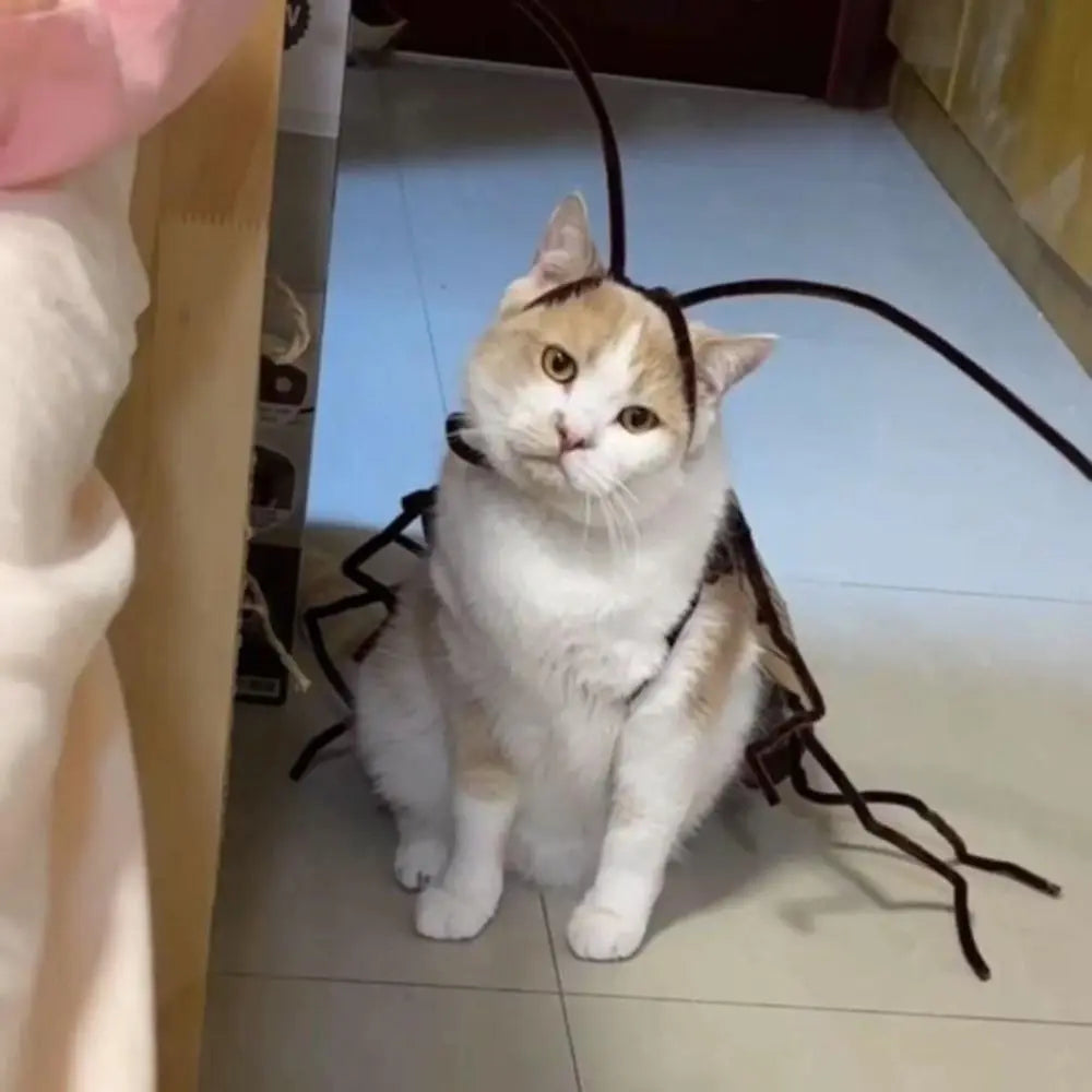 Funny DIY Cat Cockroach Clothing Indoor Playing Dress Up Material Pack Cat Toys Pet Supplies Cosplay Accessory