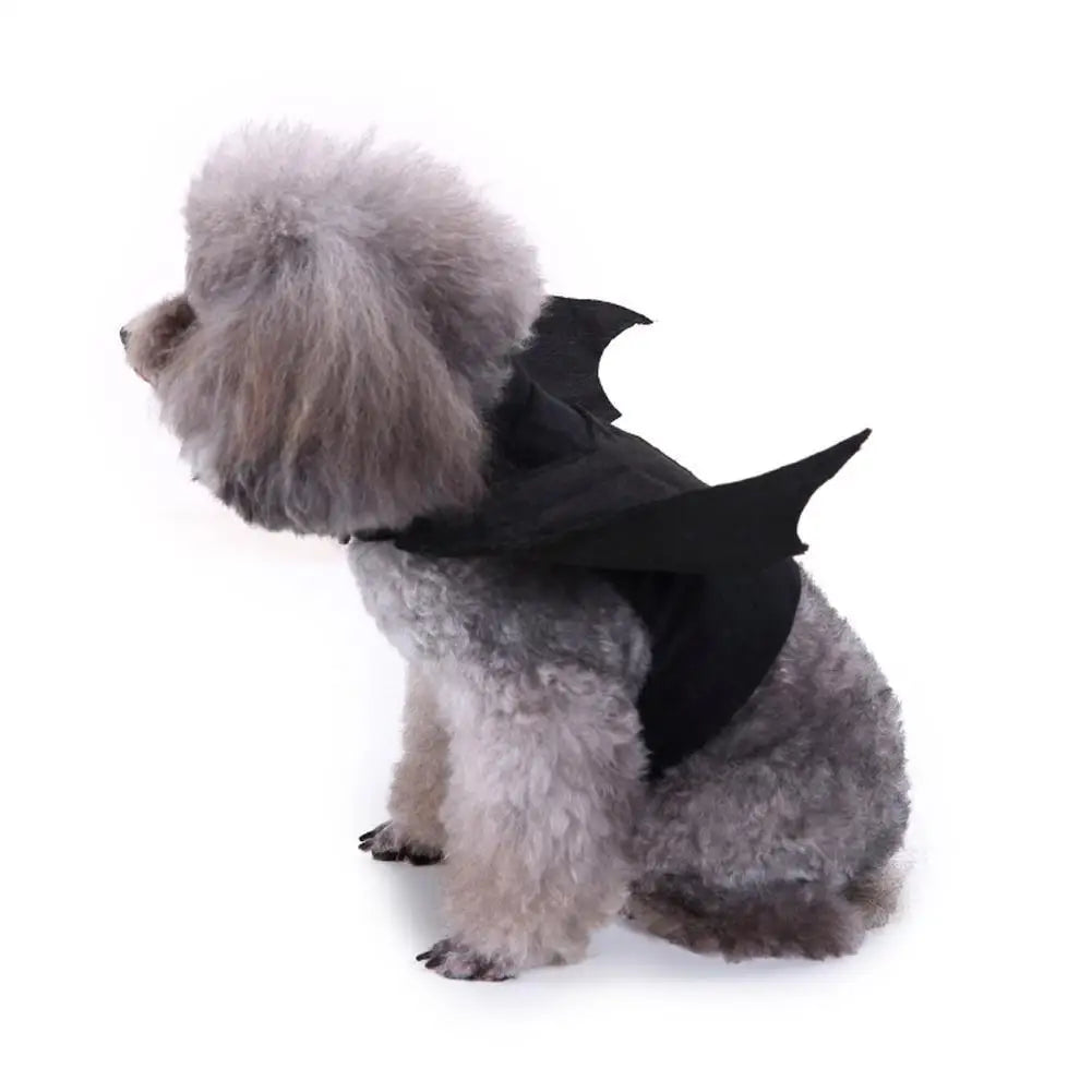 1Pcs Halloween Cute Pet Clothes Black Bat Wings Harness Costume Cosplay for Small Dogs Cats Halloween Party Pet Supplies